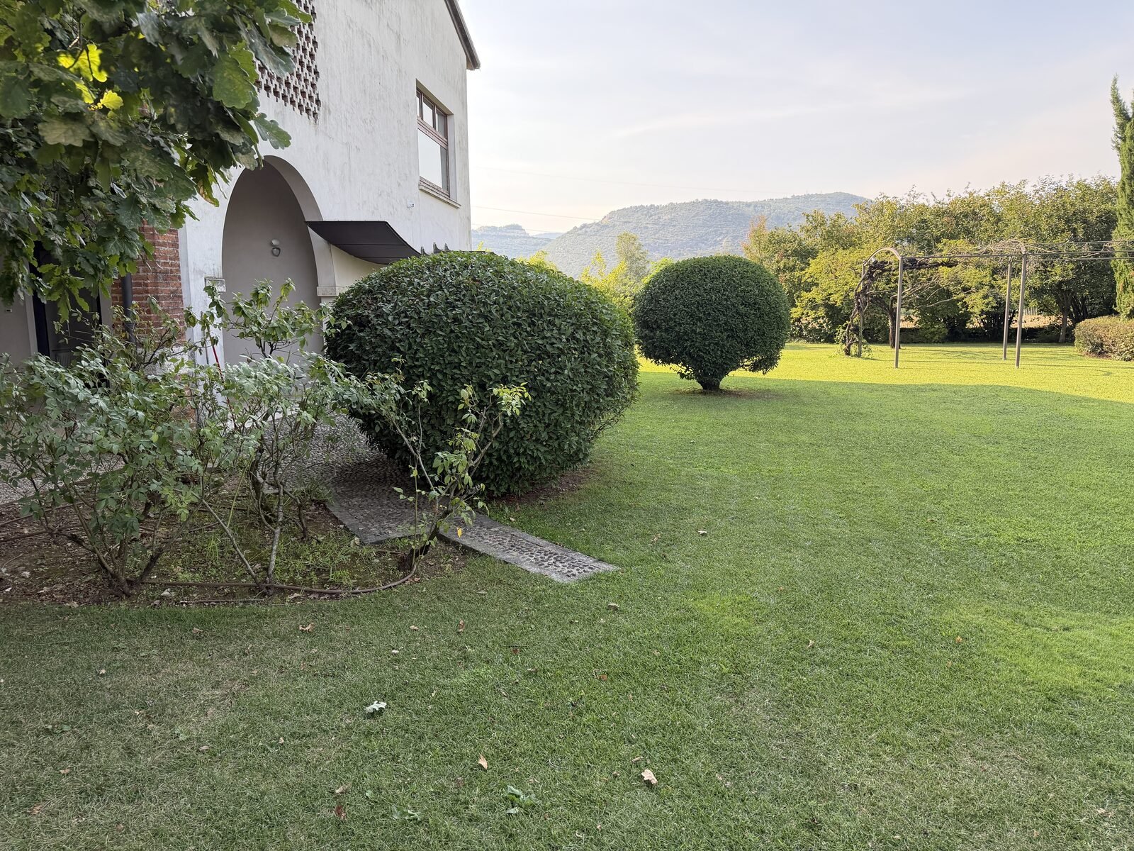 Casa con siepi sagomate a sfera e prato curato