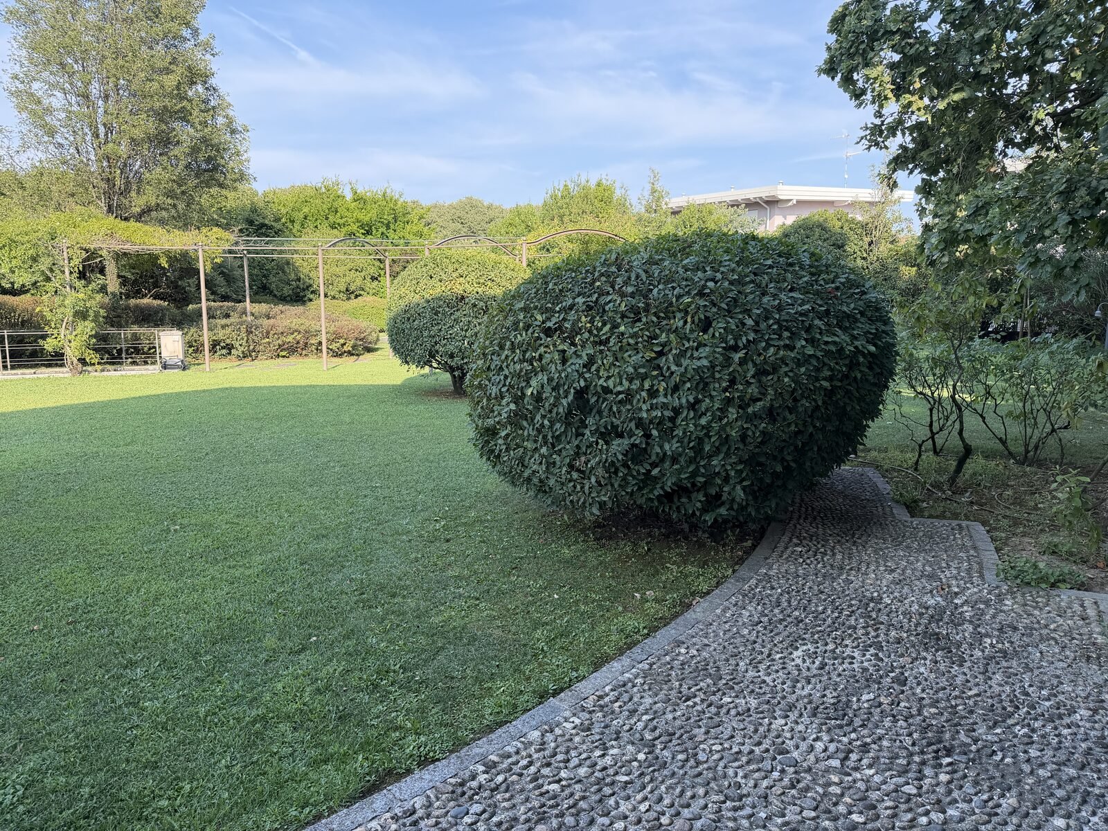 Siepe sagomata, prato e vialetto di ciottoli