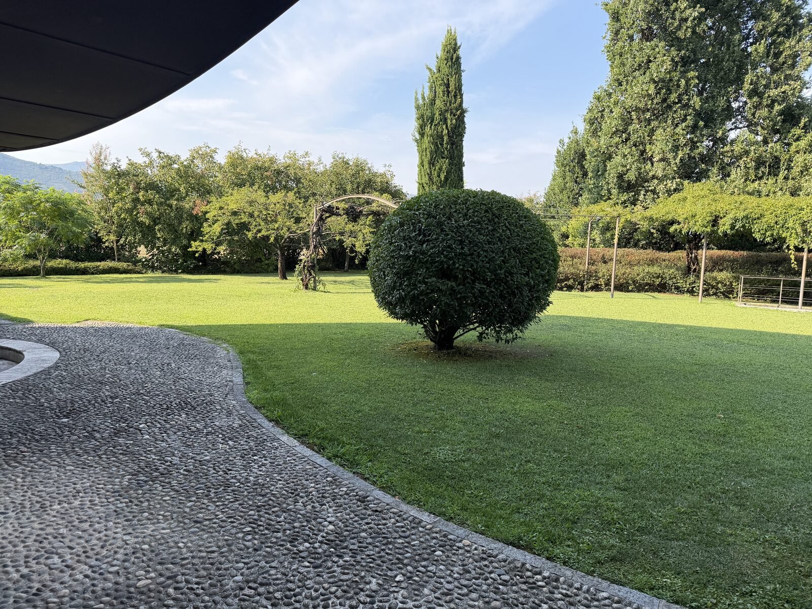 Vialetto di ciottoli e siepe sagomata a sfera