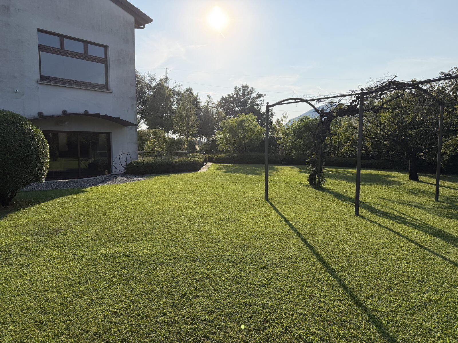 Prato uniforme davanti alla casa con pergola