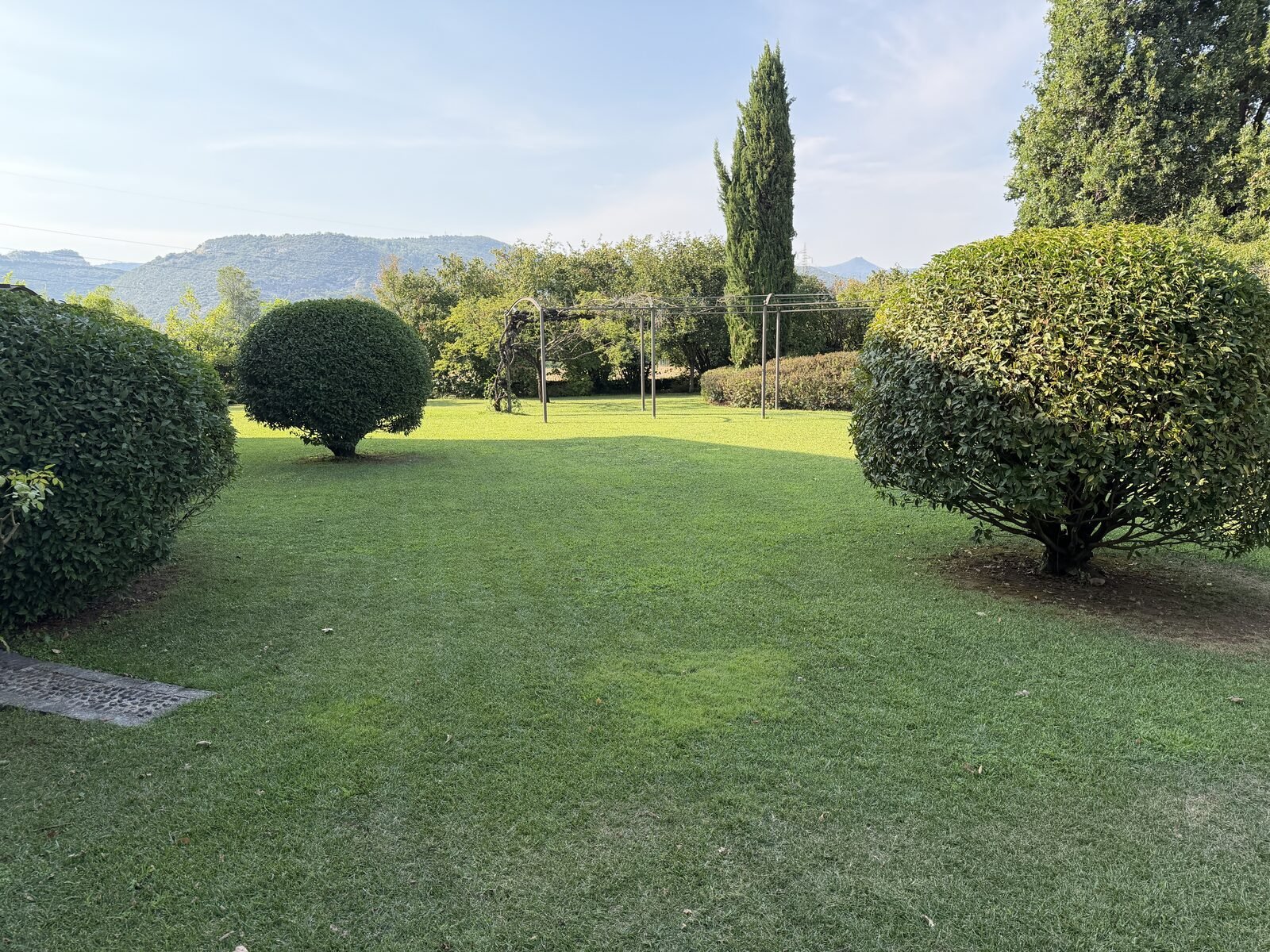 Prato e due siepi sagomate a sfera con pergola sullo sfondo