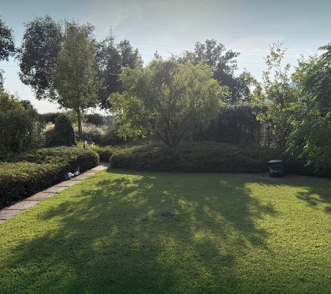Giardino progettato e realizzato
